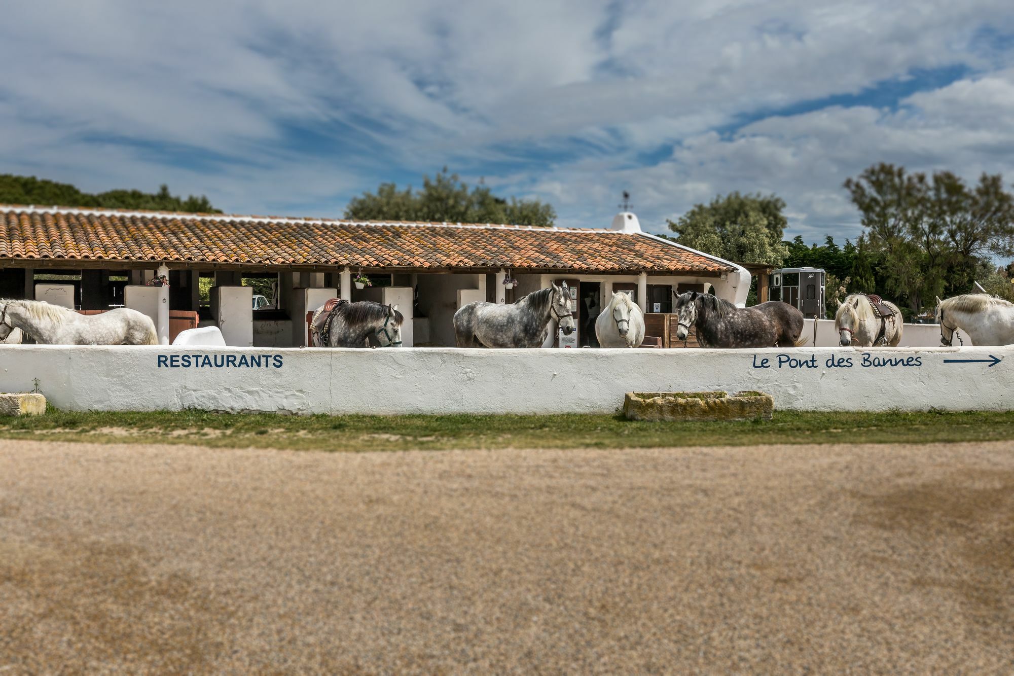 Les Bains Gardians Saintes-Maries-de-la-Mer Exterior foto
