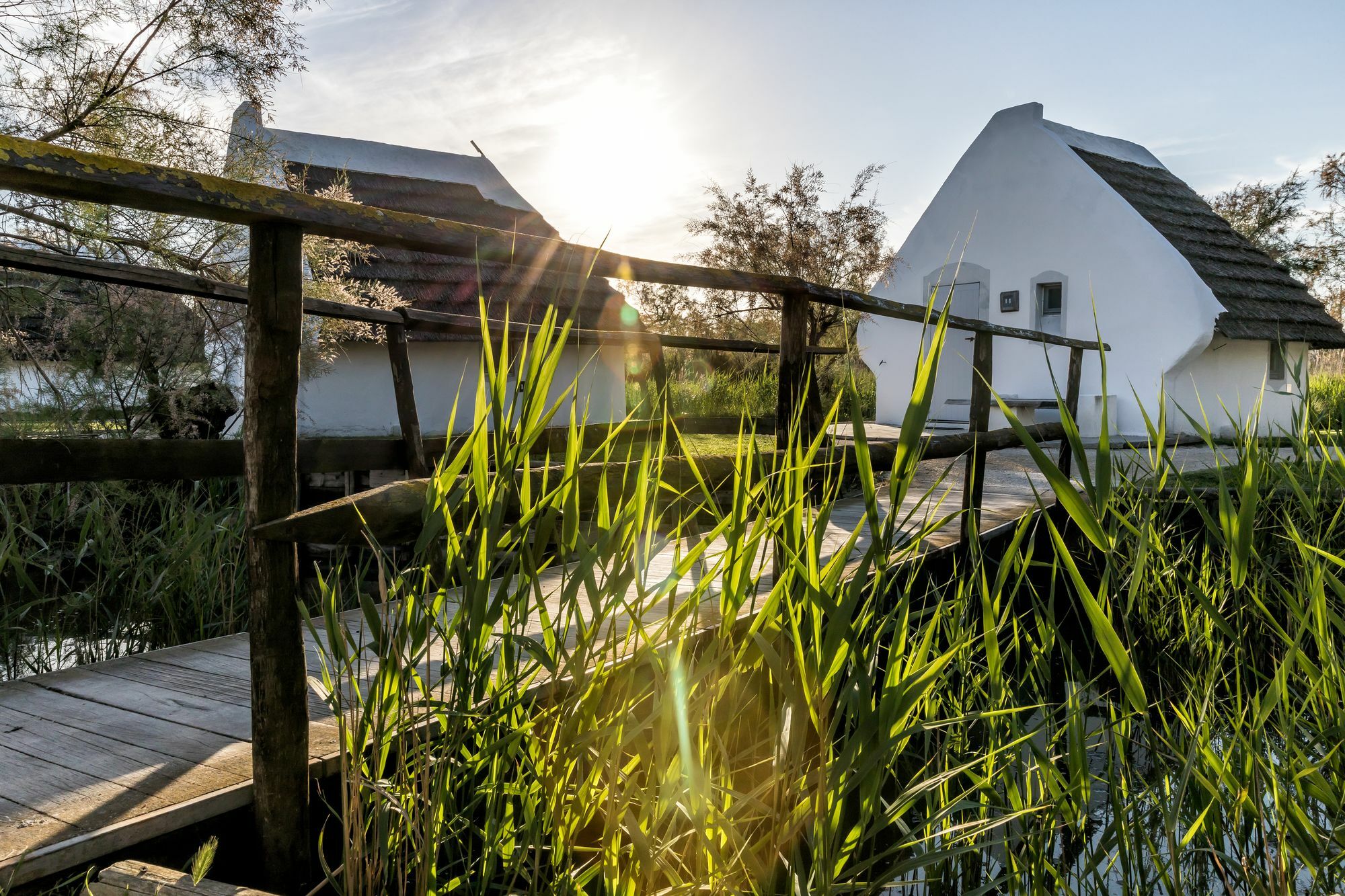 Les Bains Gardians Saintes-Maries-de-la-Mer Exterior foto